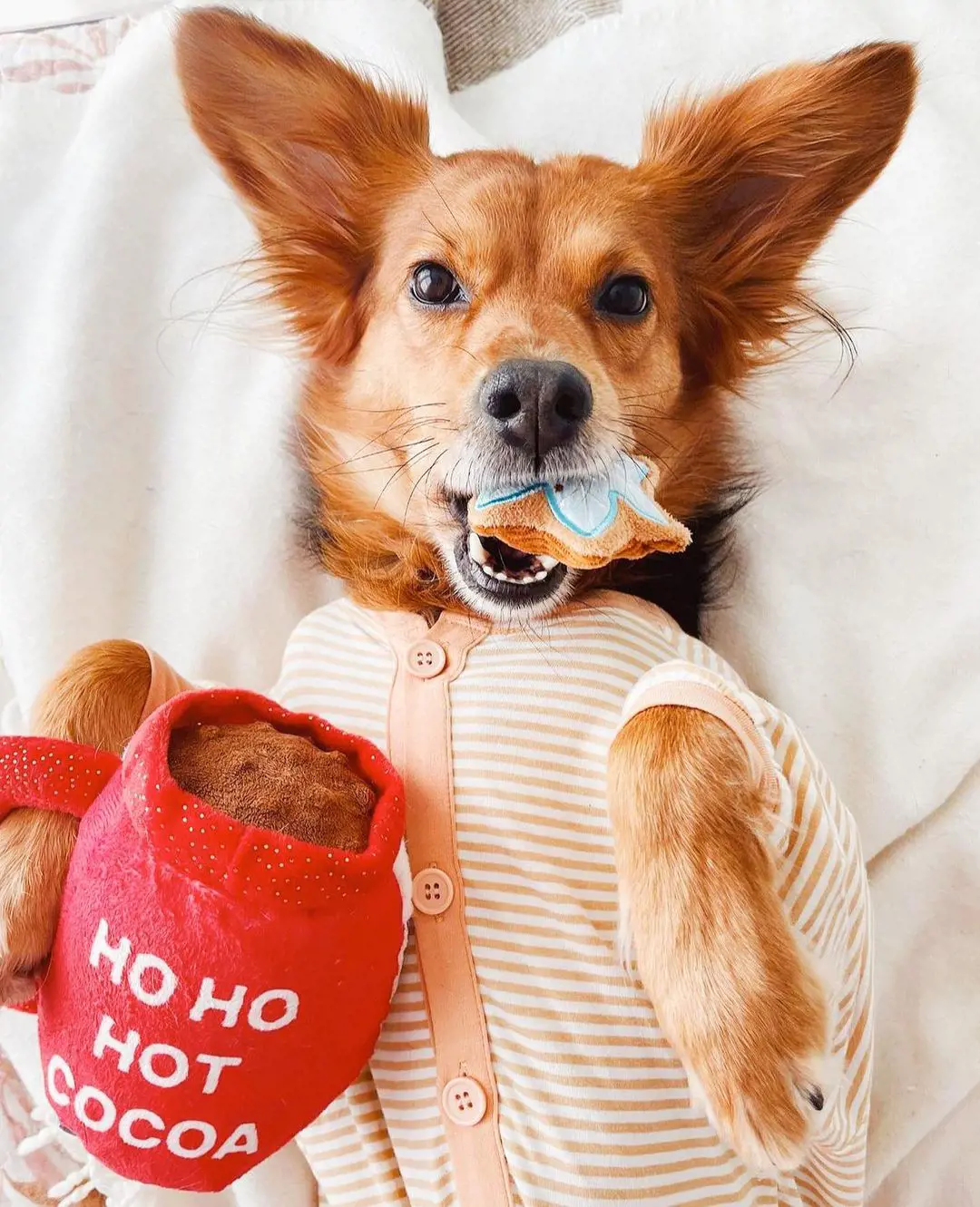 Dog with a thread design of hot chocolate cup