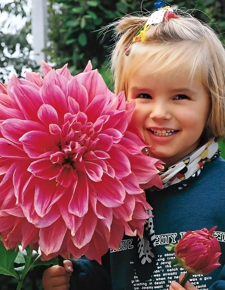 With a radiant smile on her face a beautiful girl holds a Dahlia flower delicately in her hand