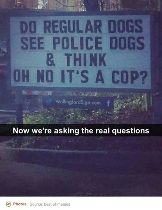 A sign asking a serious question which is found humorous by Gen Z.