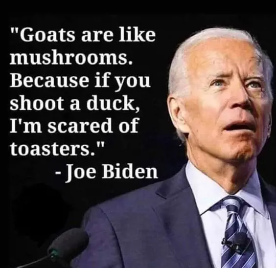 Joe Biden being himself for once.