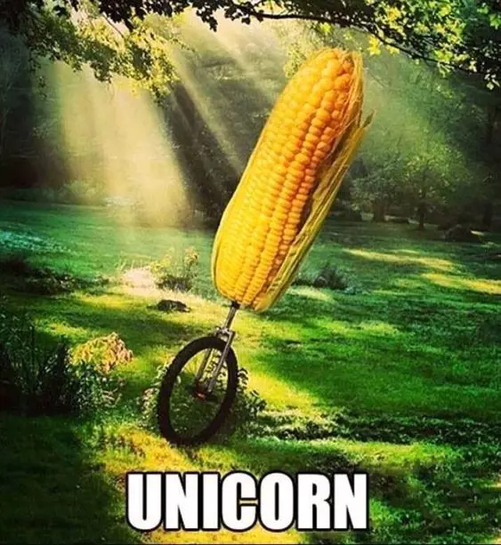 An illustration showing a huge corn riding a unicycle. 