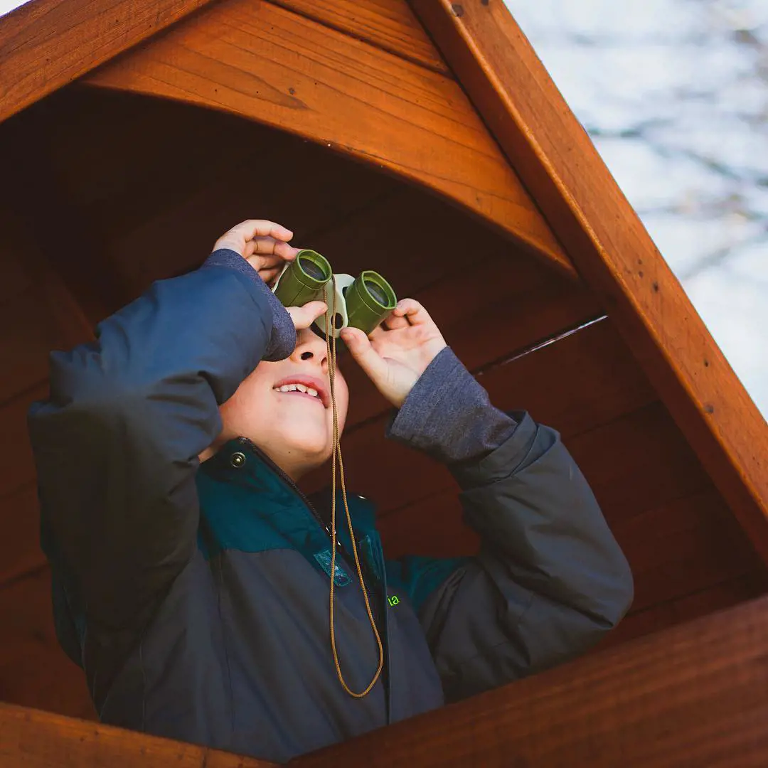 Fun bird watching activity for kids on Earth Day