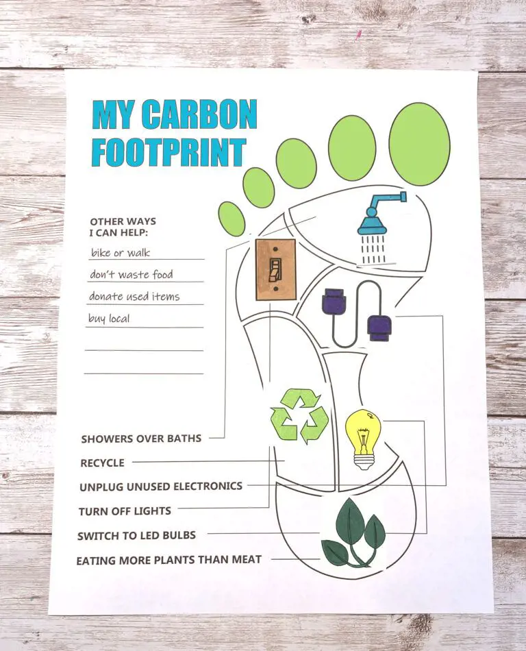 Carbon footprint activity worksheet by Little Bins for Little Hands