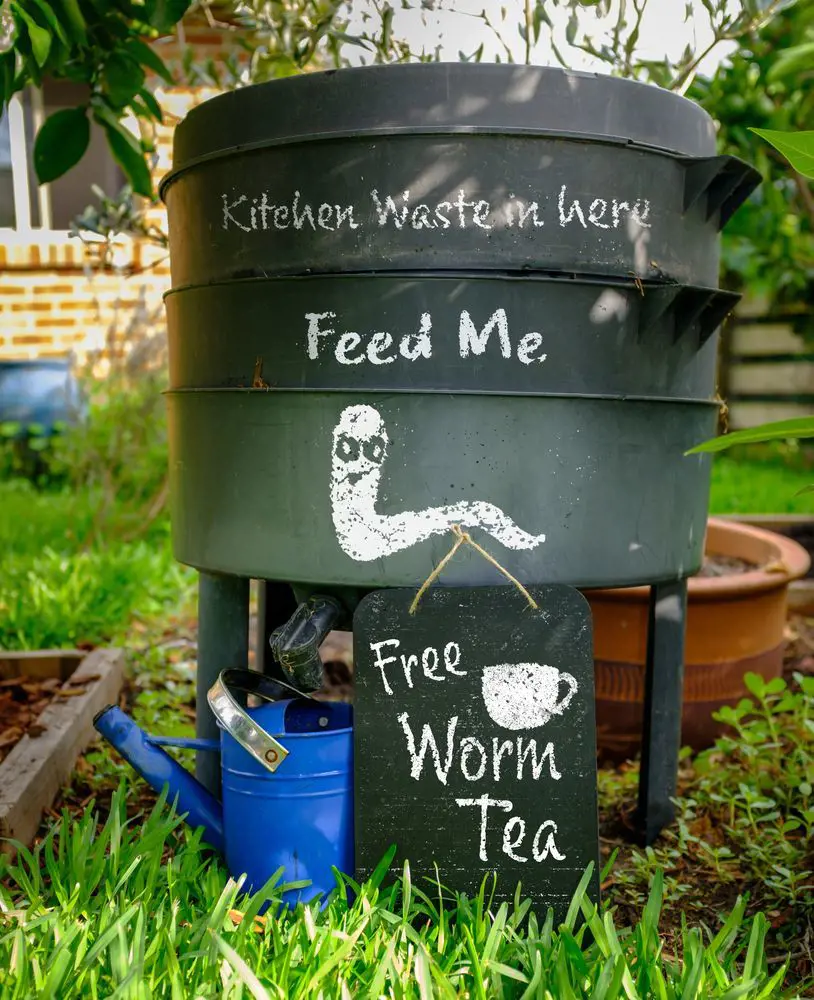 Compost bin at a backyard of a house