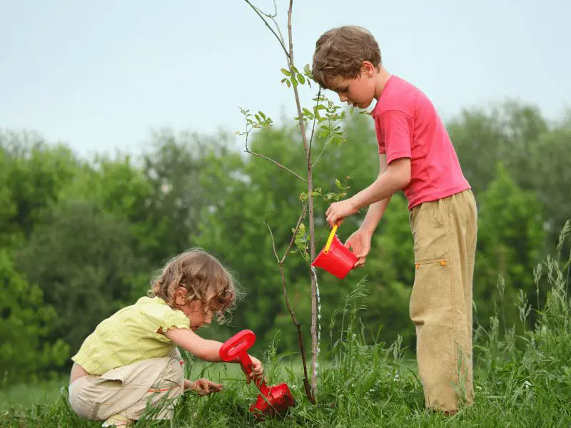 Children plant a tree on the occasion of Earth Day